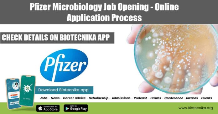 Pfizer Microbiology Job