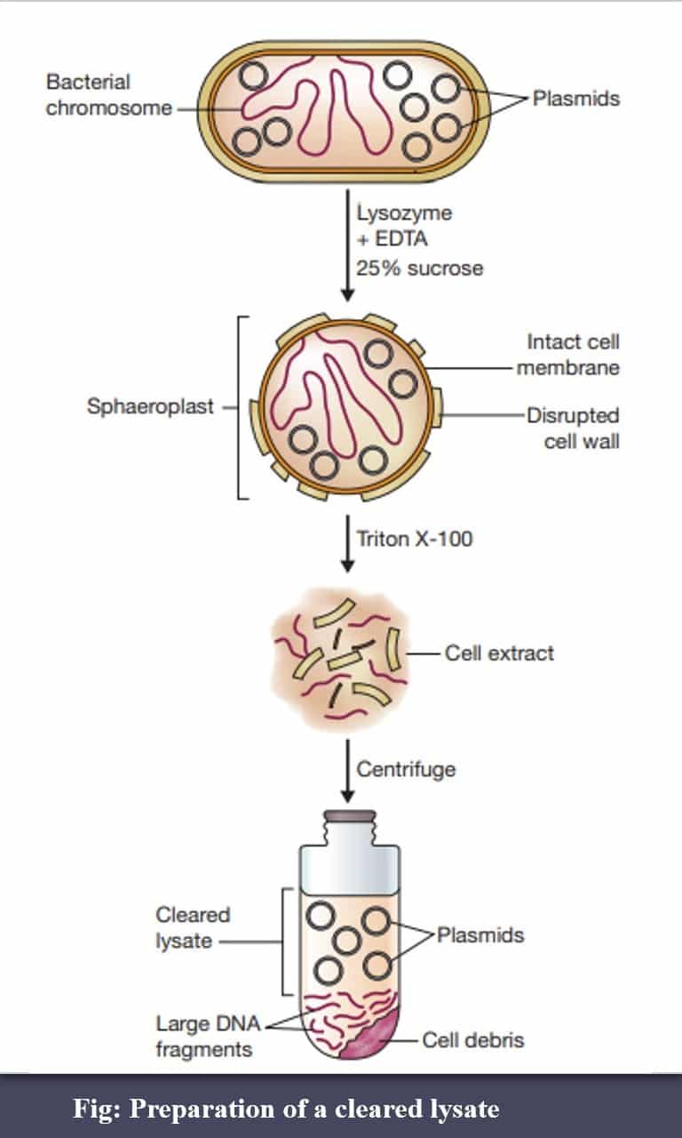 CSIR Unit 13 Notes