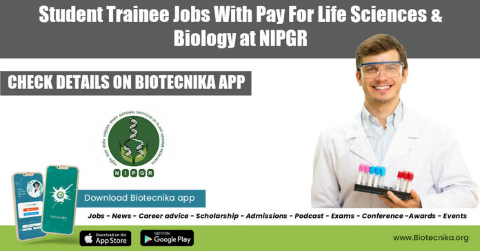 Student Trainee Jobs