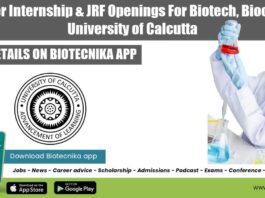 Summer Internship For Biotech