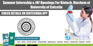 Summer Internship For Biotech