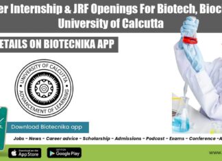 Summer Internship For Biotech