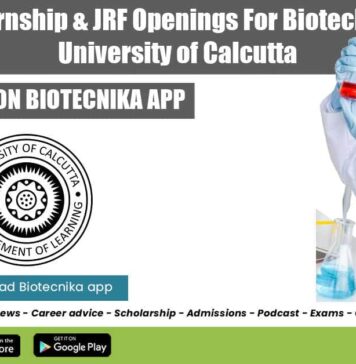 Summer Internship For Biotech