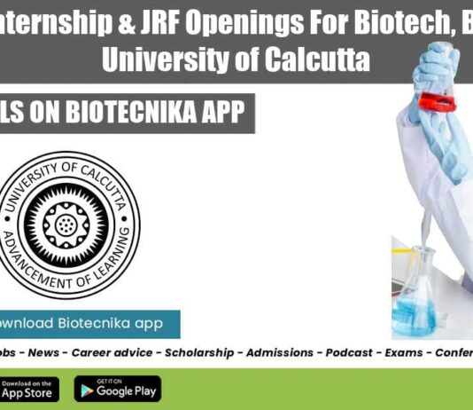 Summer Internship For Biotech