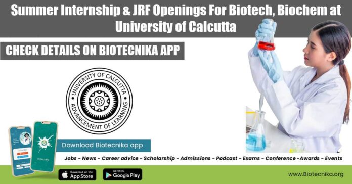 Summer Internship For Biotech