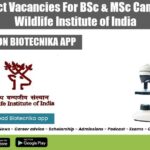 20+ Project Vacancies For BSc & MSc Candidates at Wildlife Institute of India WII Jobs 2022 Latest