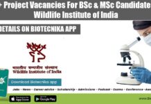 20+ Project Vacancies For BSc & MSc Candidates at Wildlife Institute of India WII Jobs 2022 Latest