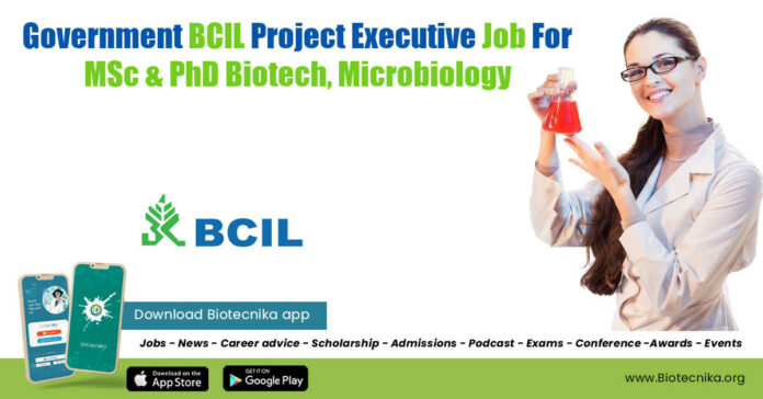BCIL Project Job 2022