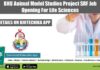 BHU Animal Model Studies Project SRF Job Opening For Life Sciences BHU Vacancy For SRF