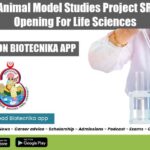 BHU Animal Model Studies Project SRF Job Opening For Life Sciences BHU Vacancy For SRF