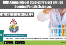 BHU Animal Model Studies Project SRF Job Opening For Life Sciences BHU Vacancy For SRF