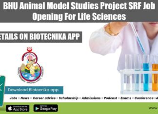 BHU Vacancy For SRF