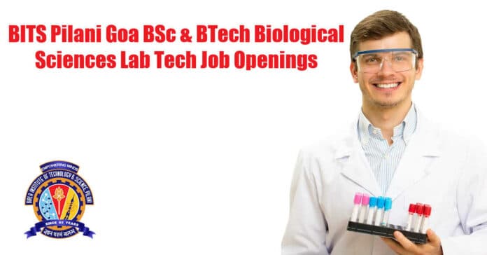BITS Pilani Goa Vacancies