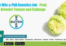Bayer MSc & PhD Genetics Job – Prod. Dev. Breeder Tomato and Cabbage Bayer Genetics Openings