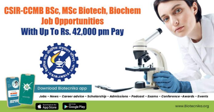 CCMB Project Jobs 2022
