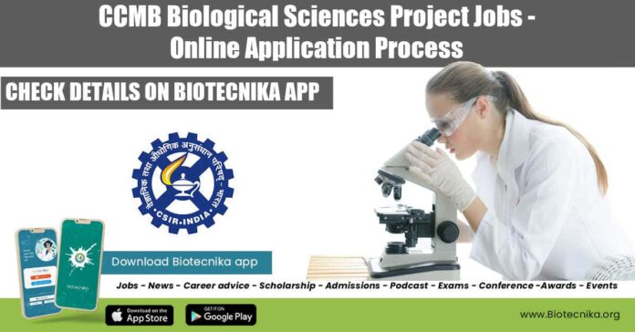 CCMB Project Jobs 2022
