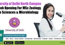 University of Delhi North Campus SRF Job Opening For MSc Zoology, Life Sciences & Microbiology Delhi University SRF Opening