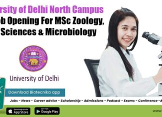 Delhi University SRF Opening