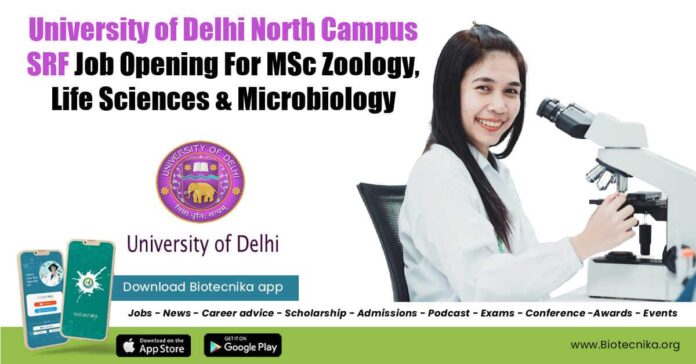 Delhi University SRF Opening