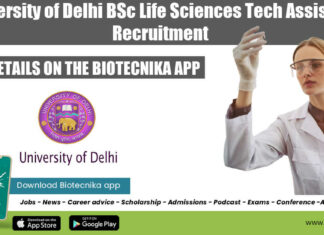 Delhi University Tech Assistant
