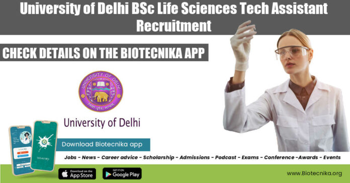 Delhi University Tech Assistant