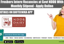 Freshers Food Tech Internship
