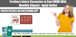 Freshers Food Tech Internship