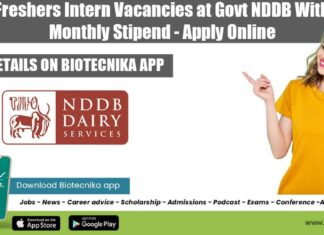 Freshers Food Tech Internship