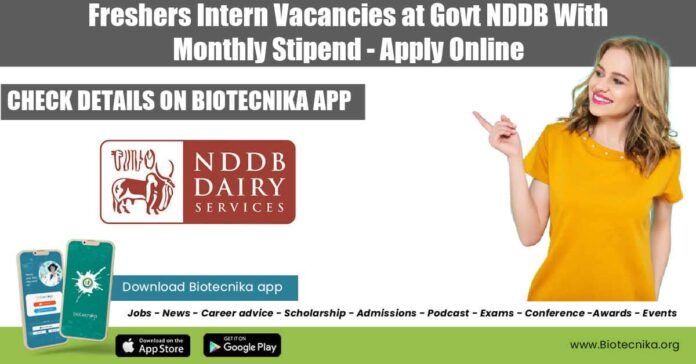 Freshers Food Tech Internship