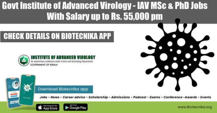 Govt IAV Project Jobs