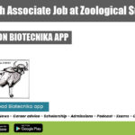 Govt Research Associate Job