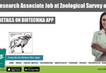 Govt Research Associate Job at Zoological Survey of India Govt Research Associate Job