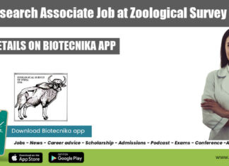 Govt Research Associate Job