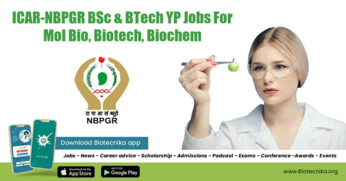 ICAR-NBPGR Young Professional Job