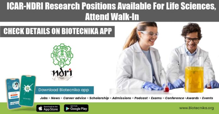 ICAR-NDRI Research Positions