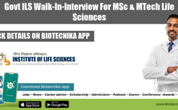 ILS Project 2022 Job