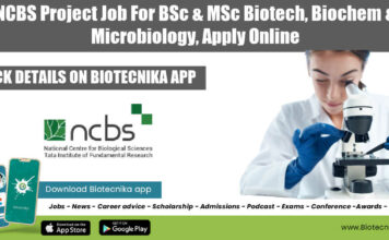 NCBS Project Job For BSc & MSc Biotech, Biochem & Microbiology, Apply Online NCBS Project Vacancy 2022