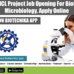 NCL Associate Jobs 2022