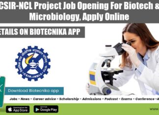NCL Associate Jobs 2022