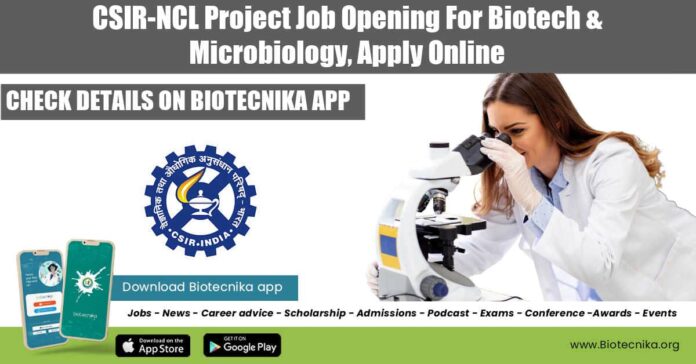NCL Associate Jobs 2022