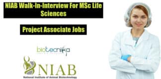 NIAB Project Jobs 2022