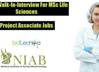 NIAB Project Jobs 2022