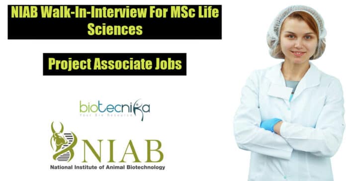 NIAB Project Jobs 2022