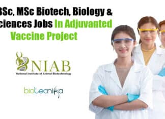 NIAB Project Openings 2022