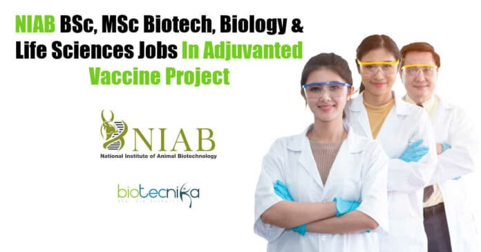 NIAB Project Openings 2022