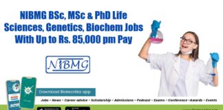NIBMG Research Jobs 2022