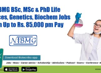 NIBMG Research Jobs 2022