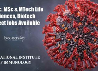NII BSc Project Jobs