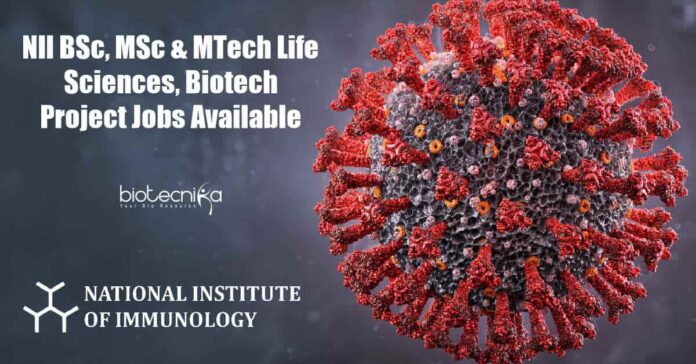 NII BSc Project Jobs