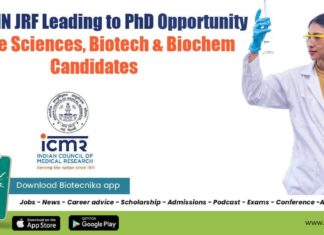 NIN JRF Opportunity